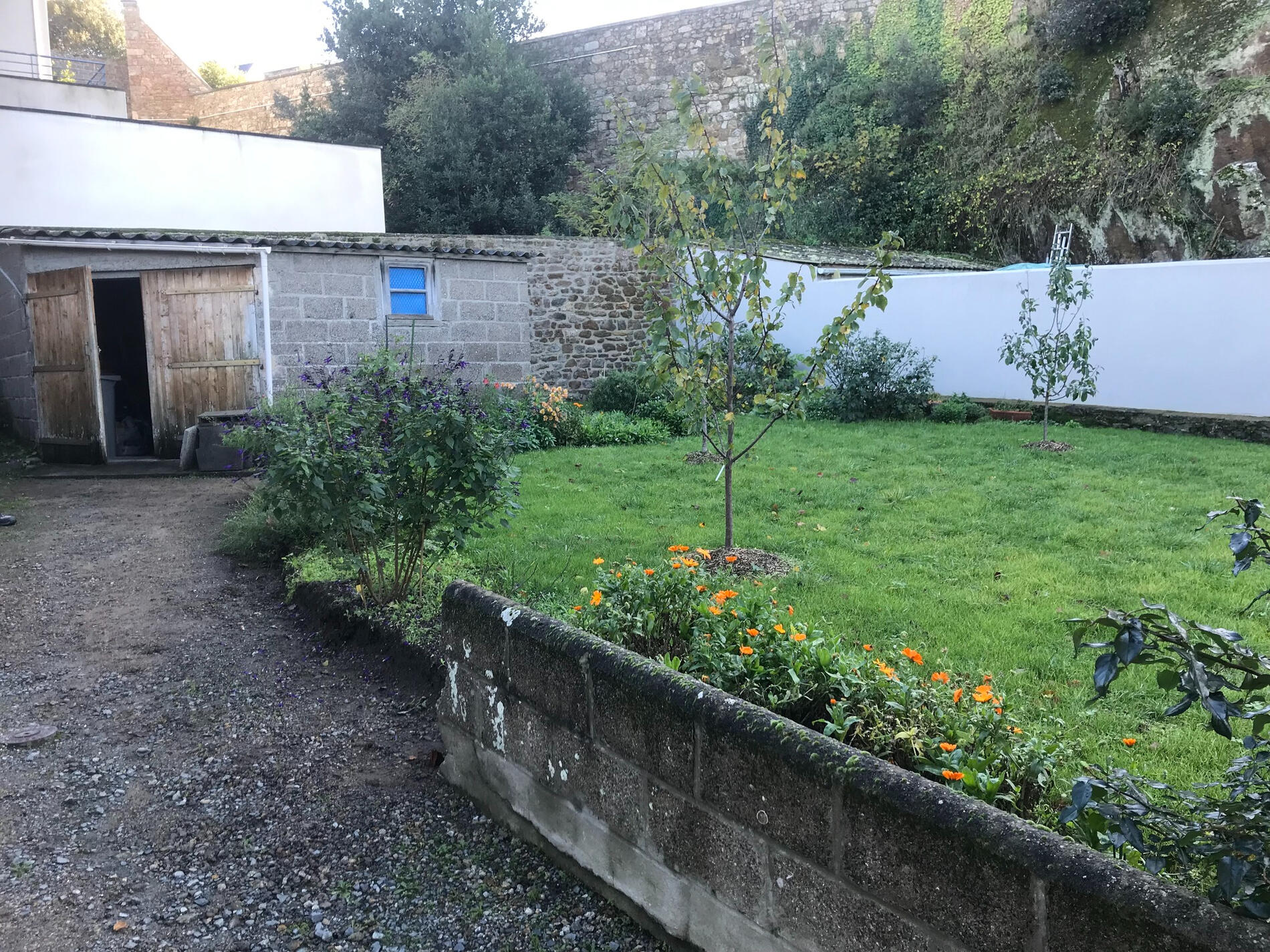Jardin - avant